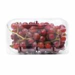 Fresh Fruits