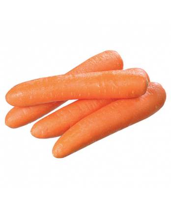 Red Carrots 2pcs
