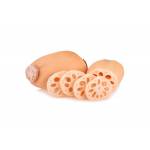 China Lotus Root 700 - 800g