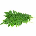 Curry Leaf 50g