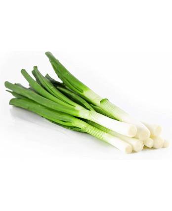 Green Leek
