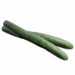 Fresh Produce