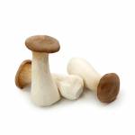 King Oyster Mushroom 200g