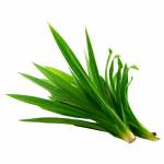 Vegetables