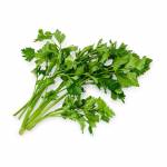 Coriander/Chinese Parsley