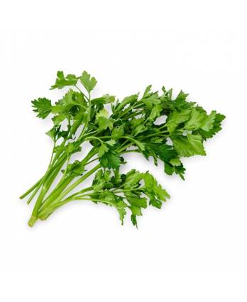 Coriander/Chinese Parsley