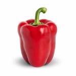 Vegetables