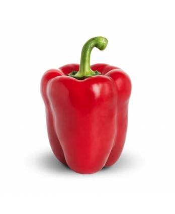Red Capsicum 200 - 250g