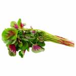 Fresh Produce