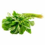 Vegetables