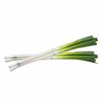 Vegetables