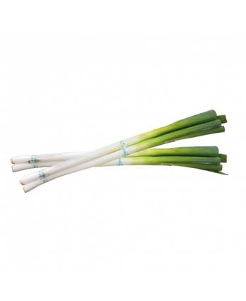 Scallion