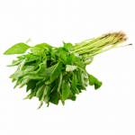 Vegetables