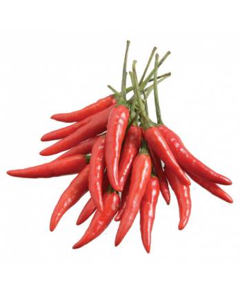 Red Chilli Small 150g