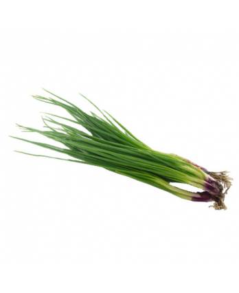 Spring Onion 100g