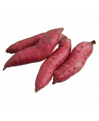 Japanese Sweet Potatoes